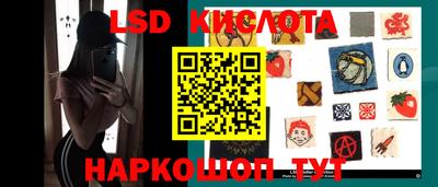спайс Кингисепп