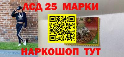 спайс Кингисепп