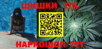 спайс Кингисепп