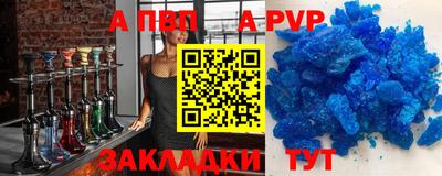 спайс Кингисепп