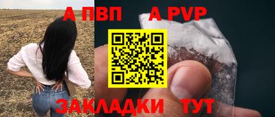 спайс Кингисепп