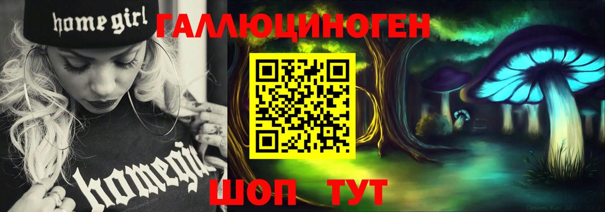 Галлюциногенные грибы прущие грибы Ярославль